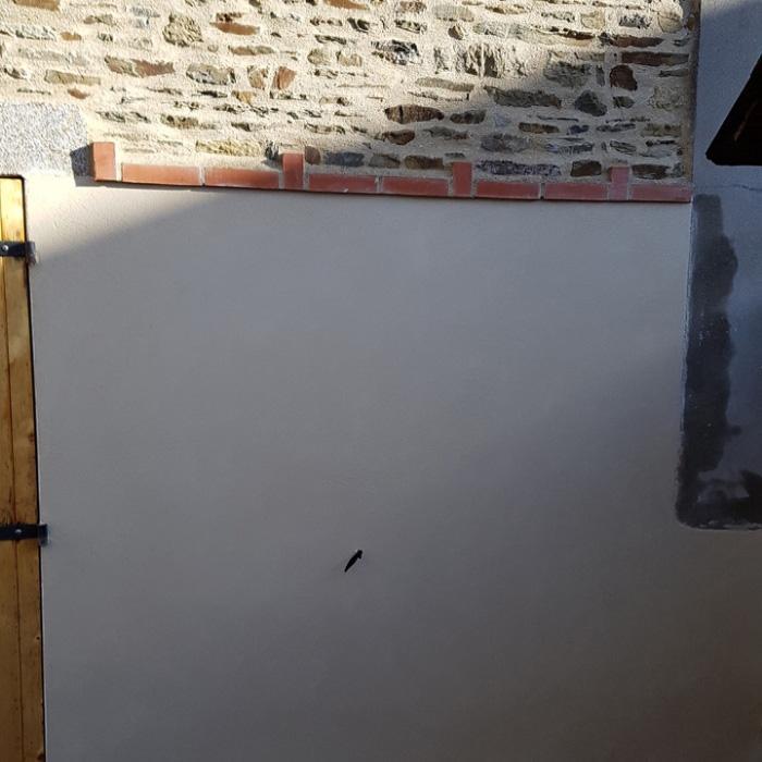 Construction de maison Ille-et-Vilaine